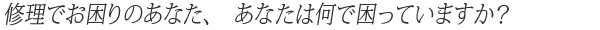 �ʔ̏C���T�[�r�X�������̂P